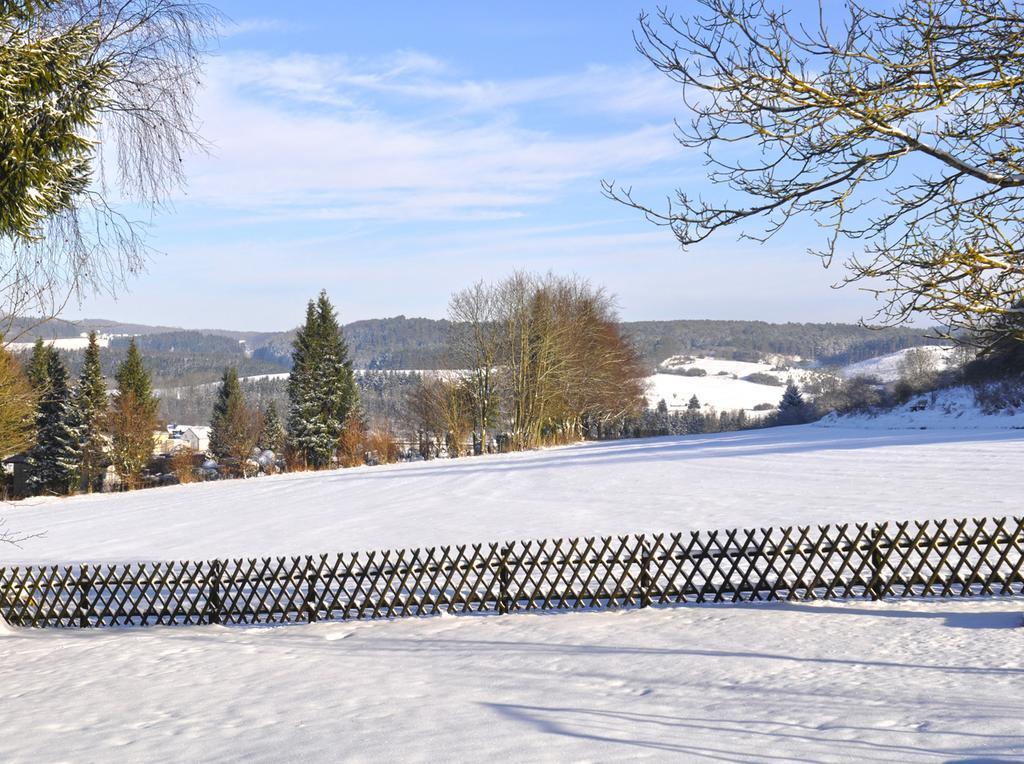 Haus Hippelstein Villa Gönnersdorf Exterior foto